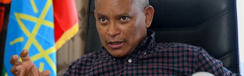 Chairman of the Tigray People's Liberation Front (TPLF) Dr. Debretsion Gebremichael speaks during an interview in Mekele Tigray region of Ethiopia, 8 June 2019. [Photo by /EPA/EFE]