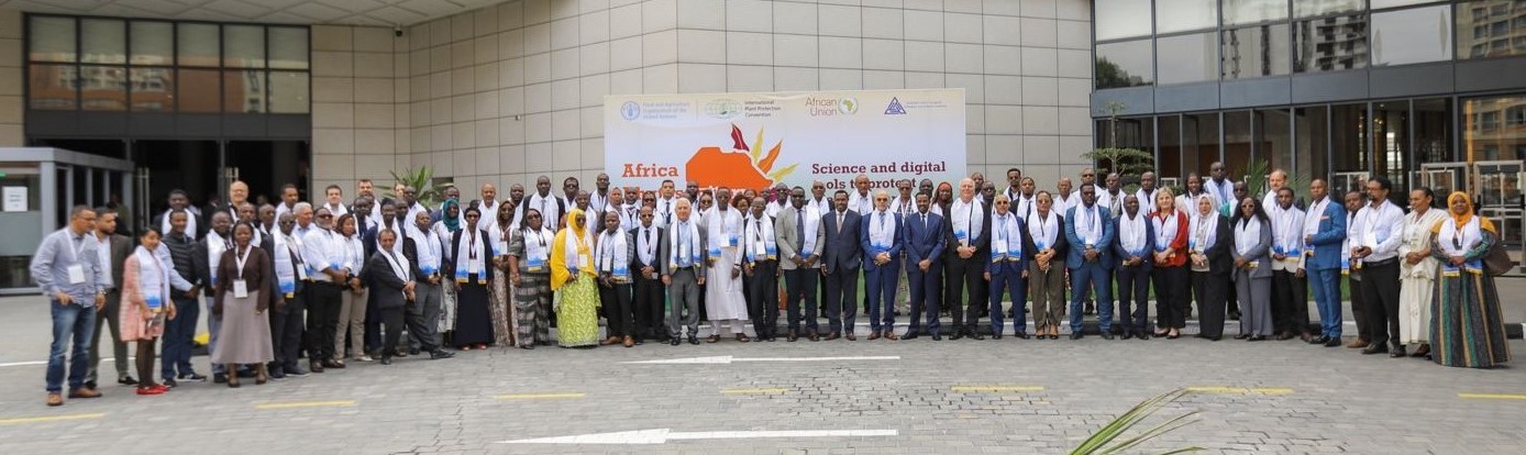 FAO, IPPC rolls out third phase of pest control programme across Africa
