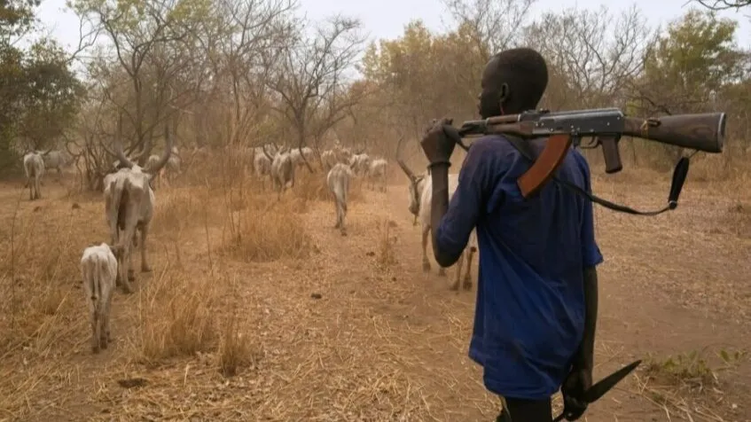 Tonj North violence: 60 killed, 50 wounded in cattle raid