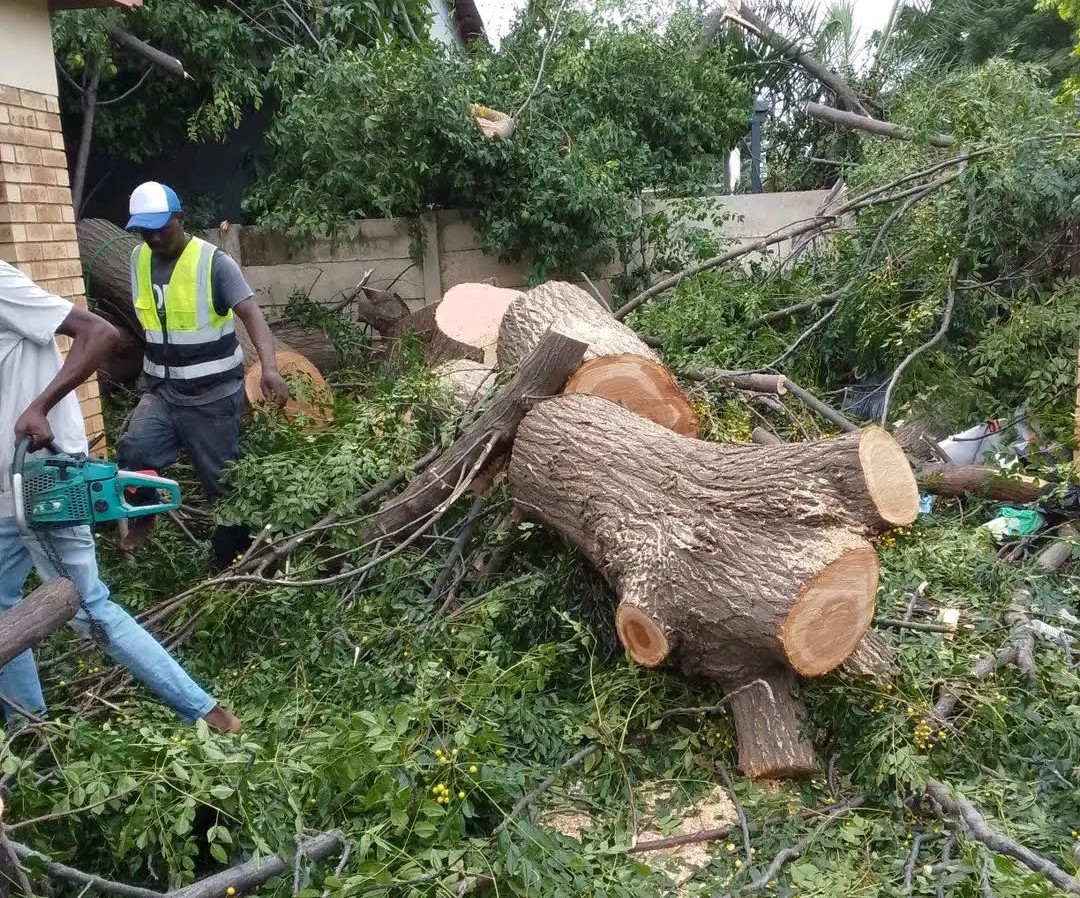 Aweil authorities arrest two illegal loggers, seize two cutting machines
