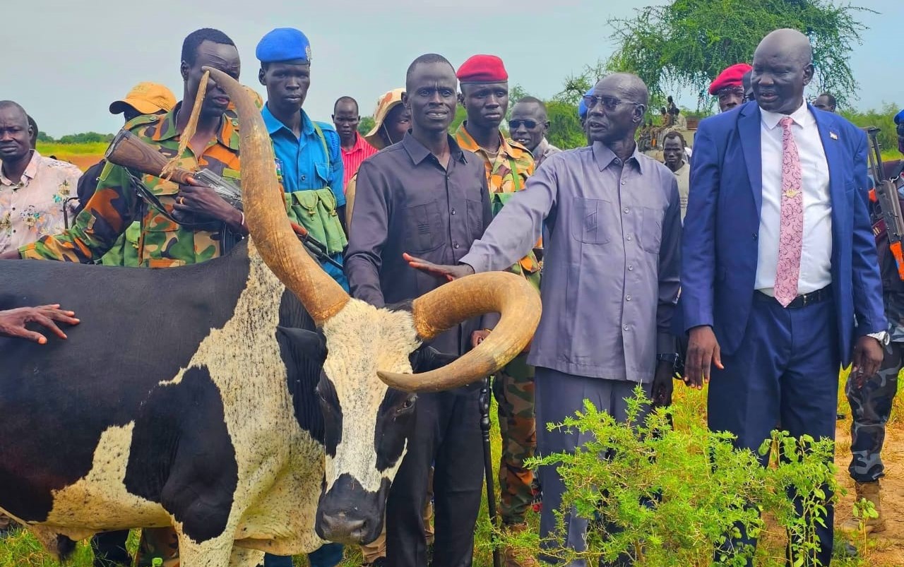 Mayom authorities recover, return 51 stolen cows to Warrap