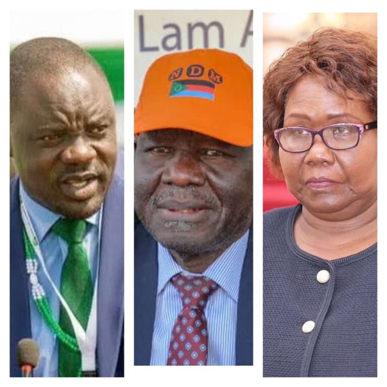 SSOA says unilateral changes to R-ARCSS undermine peace deal